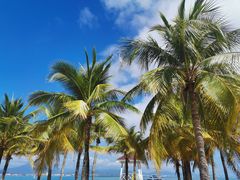 -三亚西岛海洋文化旅游区