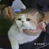 深圳新晋萌宠乐园？！今日小可爱萌度加倍！
