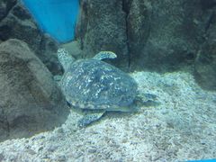 -福州罗源湾海洋世界旅游区