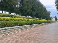 -宝安西湾红树林湿地公园