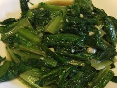 -秀水人家
