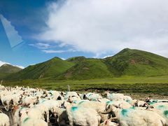 景点-青海湖国家重点风景名胜区
