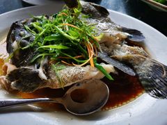 清蒸石斑鱼-哈味食店(外伶仃岛店)