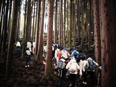 -山王坪喀斯特国家生态公园