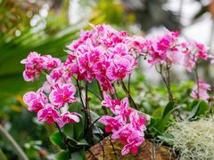-上海辰山植物园