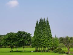 -宜兴龙背山森林公园