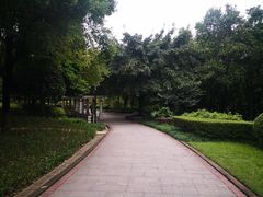 -重庆彩云湖湿地公园