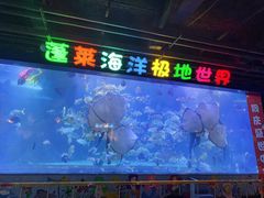 -蓬莱欧乐堡海洋极地世界