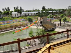 -北京鹿世界主题园