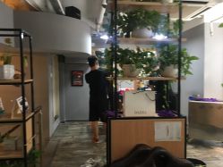 -青禾造型&刺青