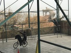 -东方熊牧场