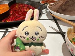 -朱光玉火锅馆(正弘城店)