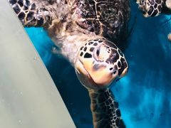 -正佳极地海洋世界