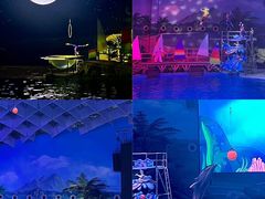 -海合安武汉极地海洋公园