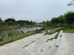 -王借岗森林公园