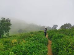 -妙峰山风景名胜区