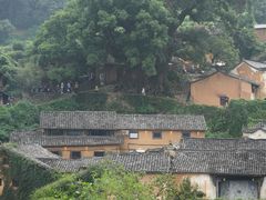 -杨家堂村