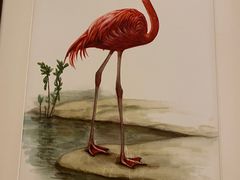 -dodonpa.墩墩伐 便当食堂(博华广场店)