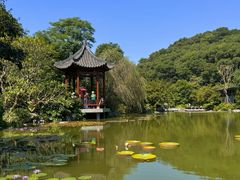 -云溪植物园