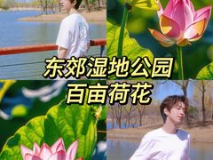 -白洋淀景区