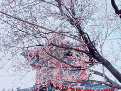 -宣武艺园