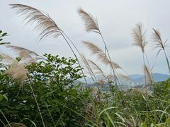 -福道