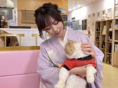 -Sweet cat·星愿猫咖(国贸大厦店)