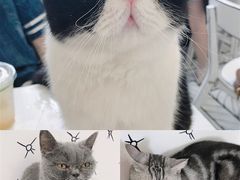 -白夜2D咖啡馆