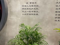 -金尚源SHANG