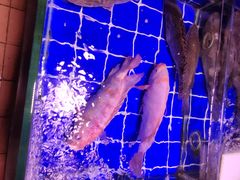 -西华肉菜市场(荔湾店)