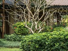 -海南清水湾莱佛士酒店