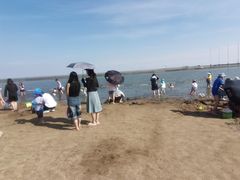 -碧海金沙