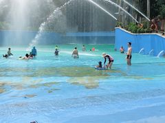 -亚马逊丛林水乐园