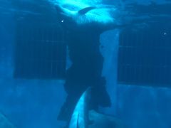 -福州罗源湾海洋世界旅游区