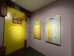 -烟台市博物馆