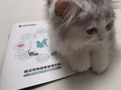 -瑞派宠物医院(搏威敦和院)