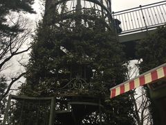 -三鹰之森吉卜力美术馆