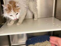 -萌兽医馆·犬猫专科·眼科中心·宠物医院(朝阳门分院)