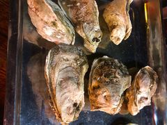 -江村四哥新鲜牛肉店(江高总店)