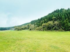 -武陵山森林公园