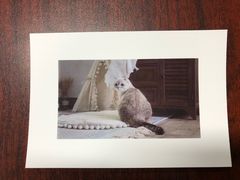 -彩色年华快印(增光佳苑东南)