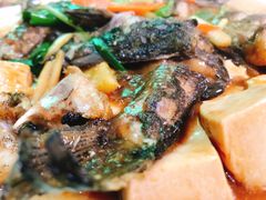 -天元河田土鸡店(莲花山店)
