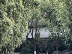 -乌镇东栅景区