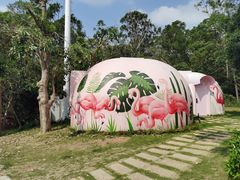 -漳州滨海火山岛自然生态风景区
