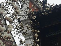 -长春观