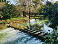 -高荡千年布依古寨旅游景区