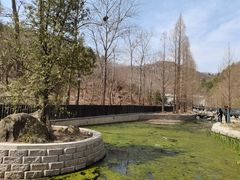 -白水寺森林公园
