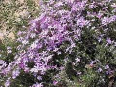 -山东省千佛山医院