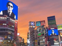 -涩谷区