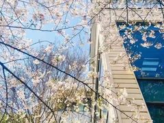 -玛利娅蒙特梭利双语幼儿园·托育(百家湖直营园)